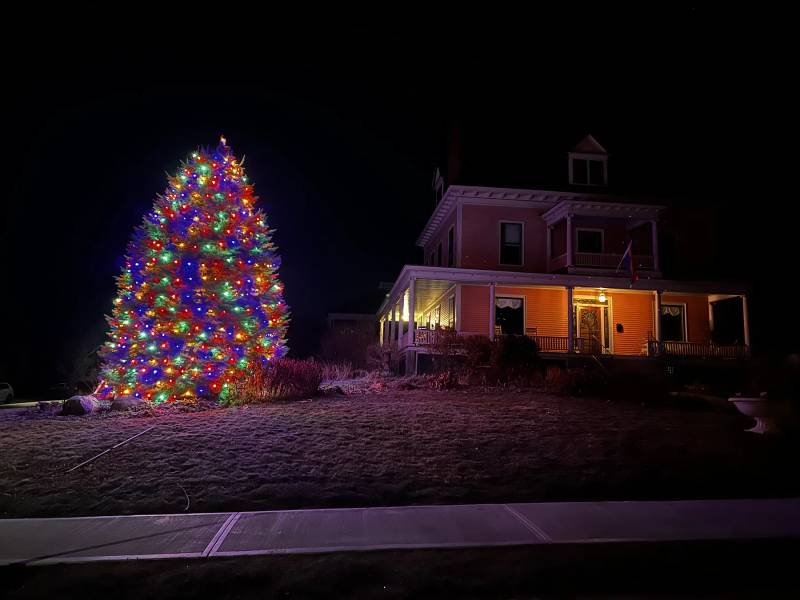 Multicolor Christmas tree beside a warmly lit home
