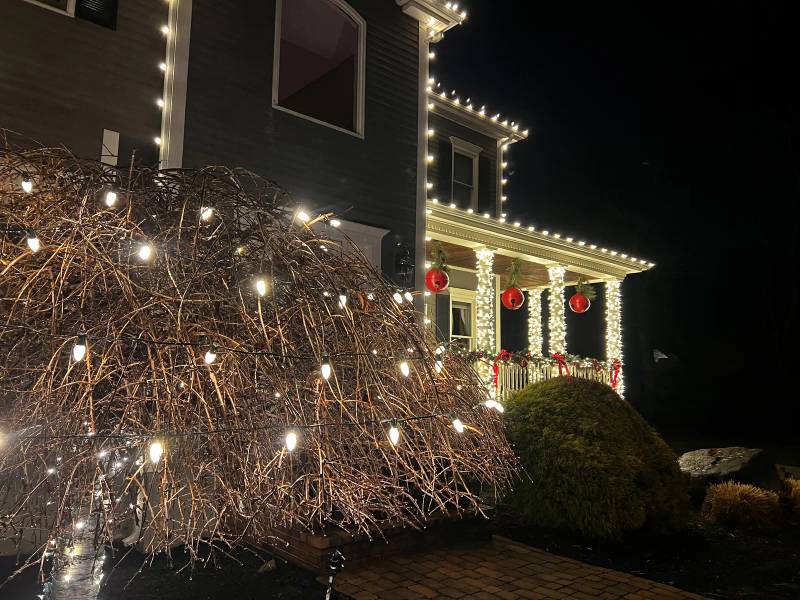 Warm holiday lights across a shrub and decorated front porch