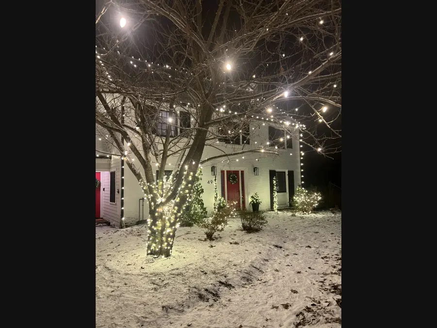 Holiday string lights in a snow-covered front-yard tree