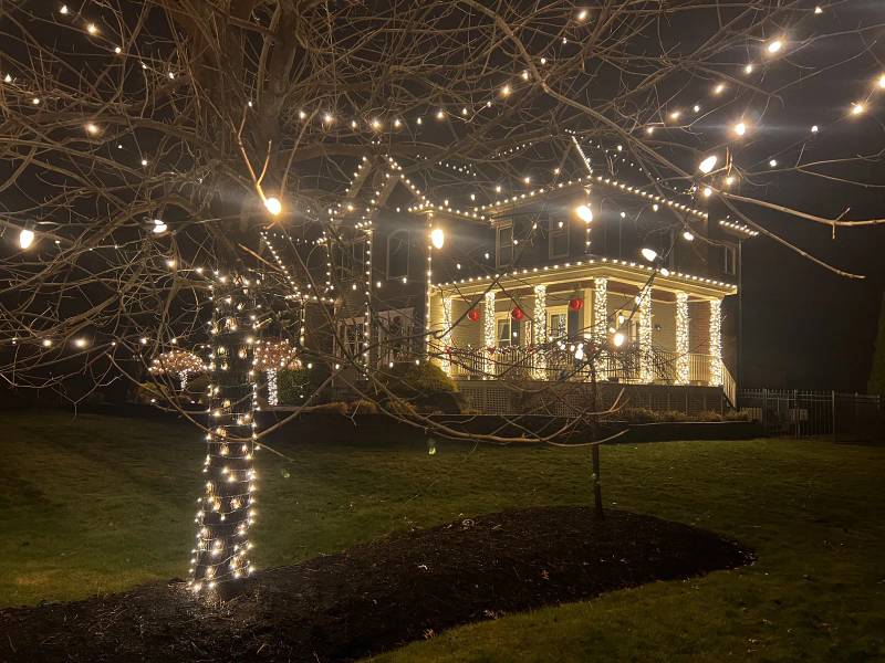 Tree canopy wrapped in holiday lights in front of a decorated porch