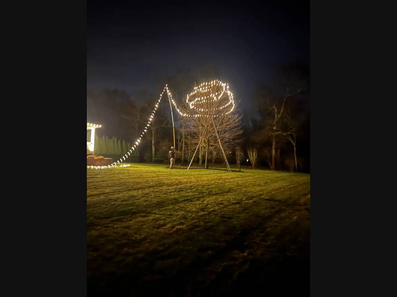 Spiral holiday lights around a supported tree in a front yard