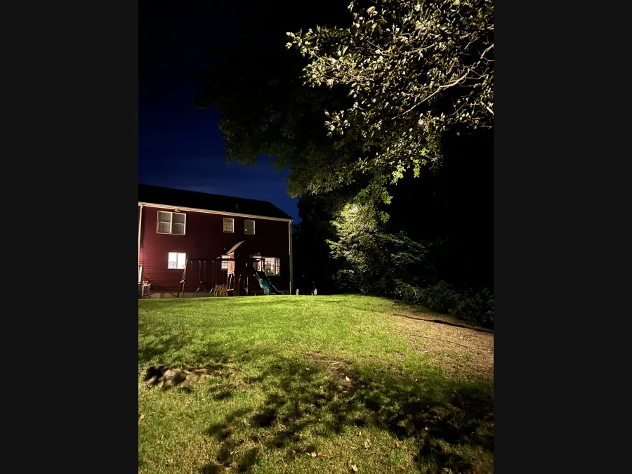 Tree canopy illuminated above a backyard lawn beside a red outbuilding