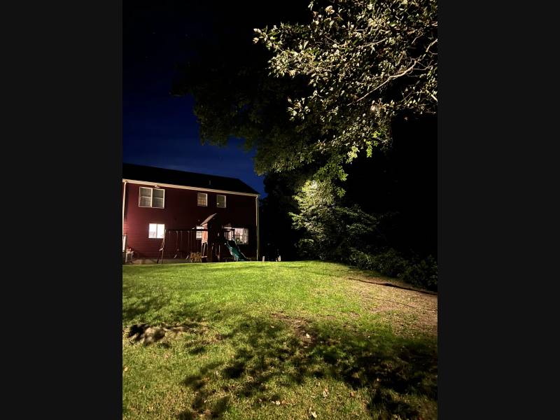 Tree canopy illuminated above a backyard lawn beside a red outbuilding