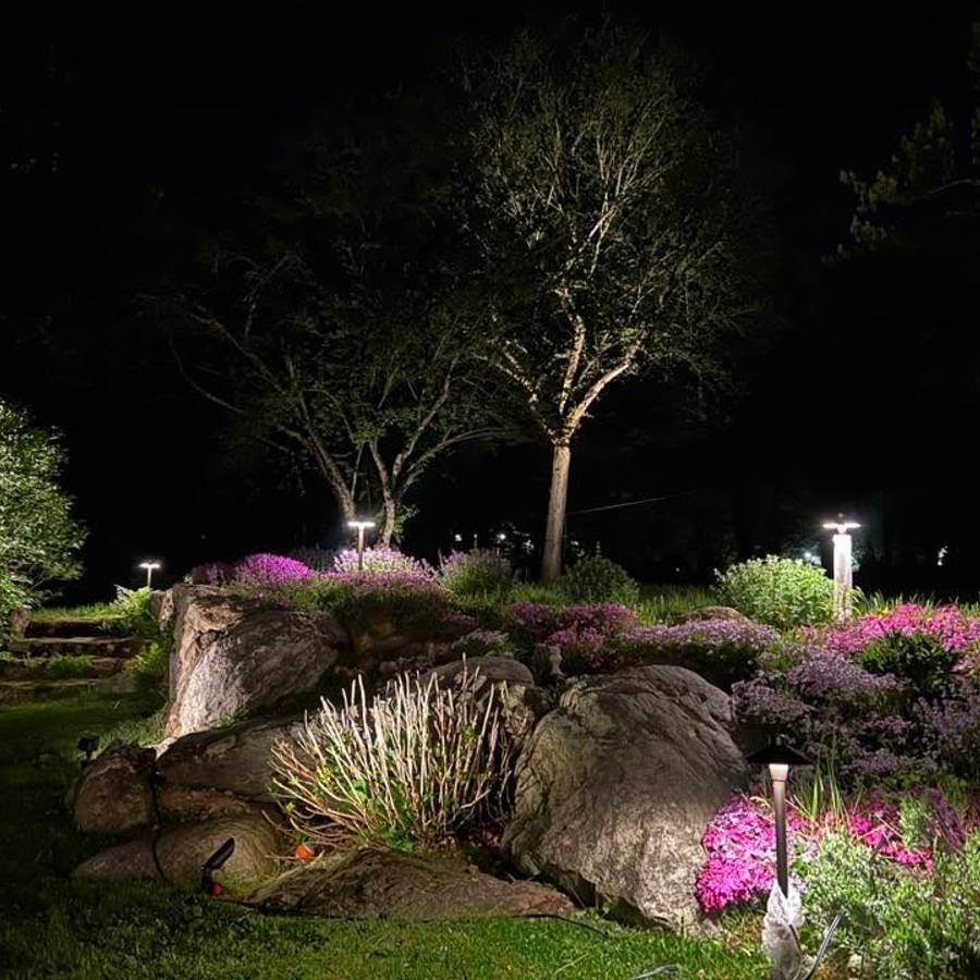 Landscape lighting across a wooded garden at night
