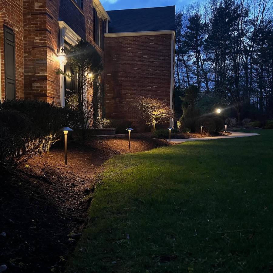 Landscape lighting across planted beds and trees