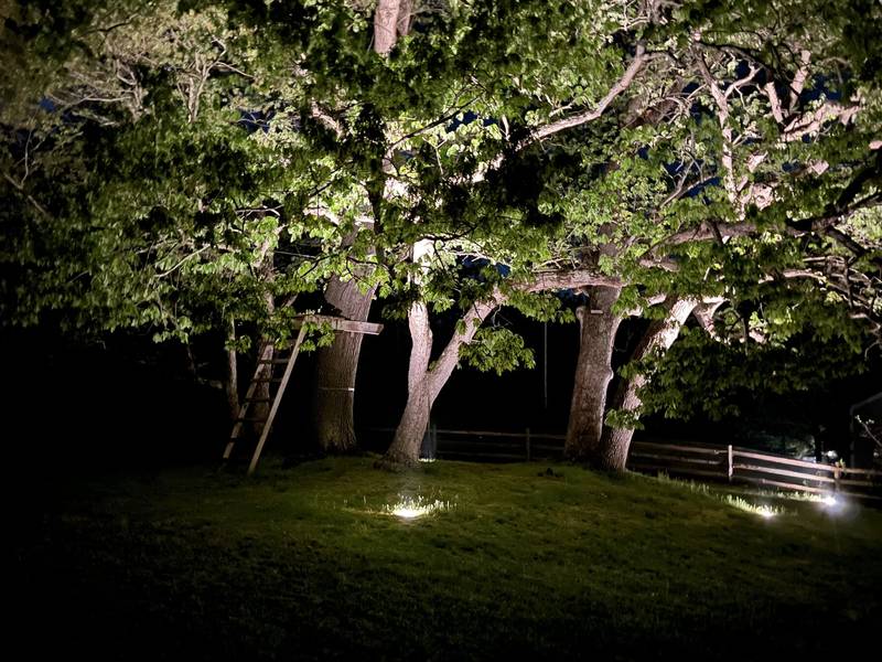 Landscape & Architectural Lighting project in Stoughton