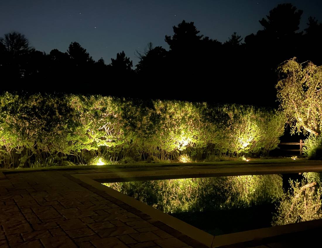 Warm garden accent lighting for a residential outdoor space