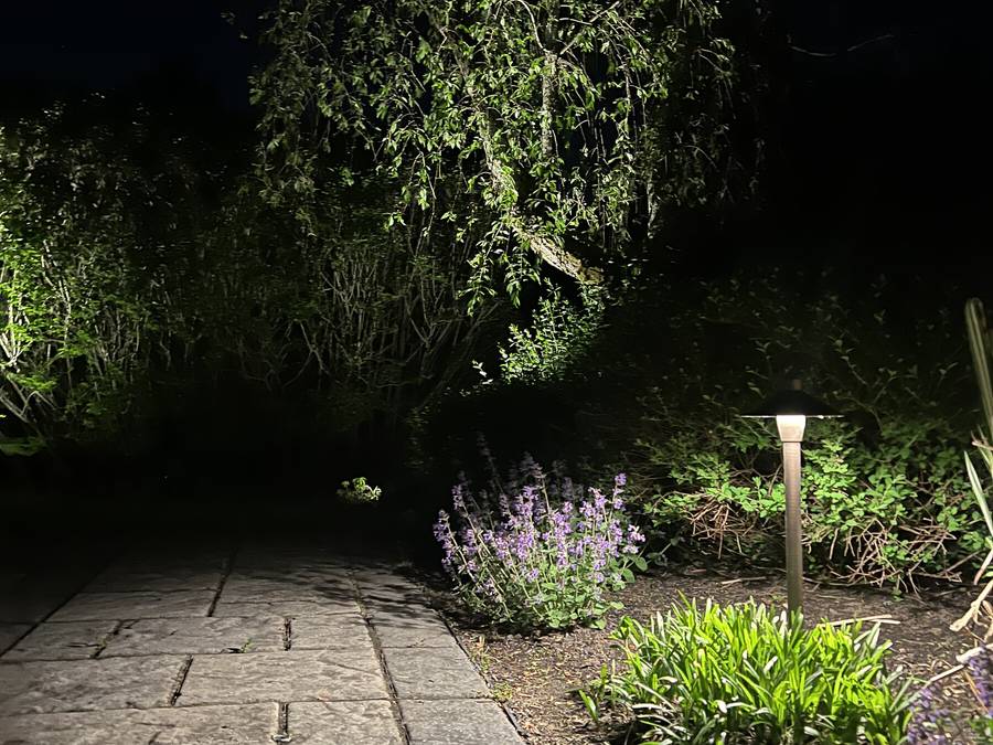 Path landscape lighting project by Seasons Shining