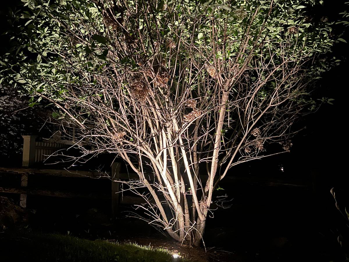 Seasons Shining project photo
