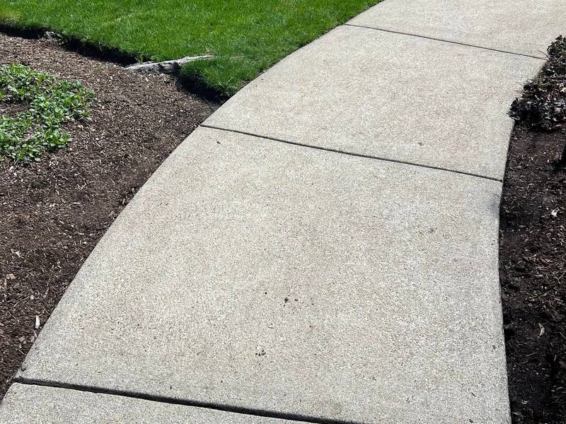 Soft Washing project in Canton