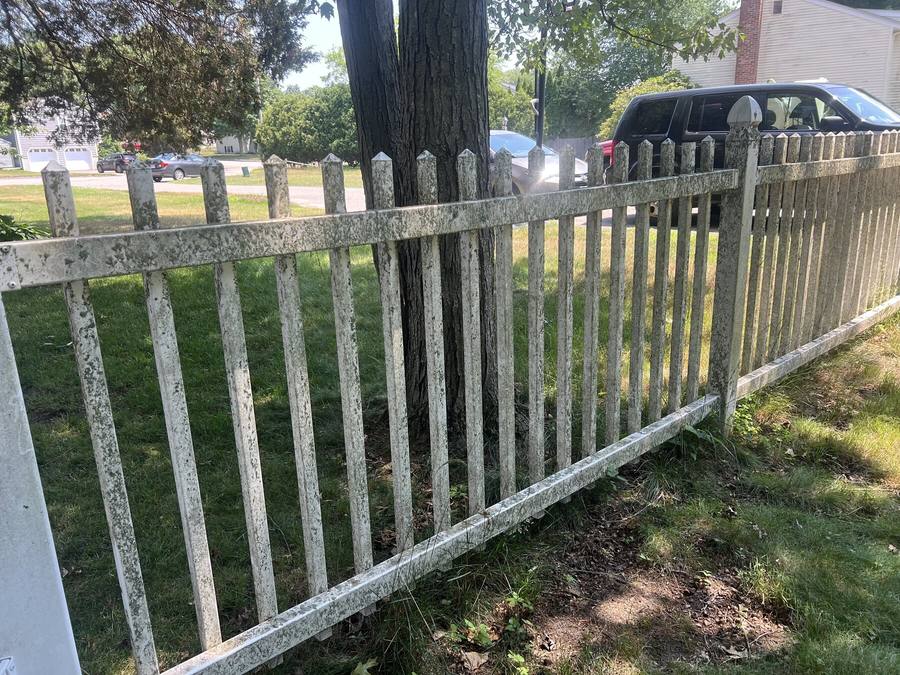 Vinyl fence before soft washing with heavy organic staining